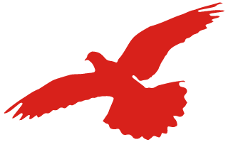 冬奥会安保措施_河池支队党风廉政建设监督_北京冬奥会消防安保监督